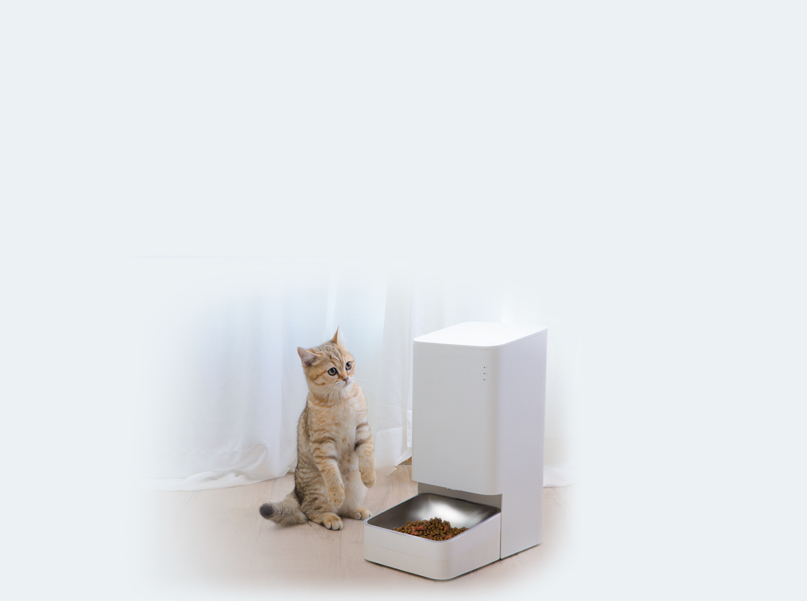 Foto Xiaomi Smart Pet Food Feeder